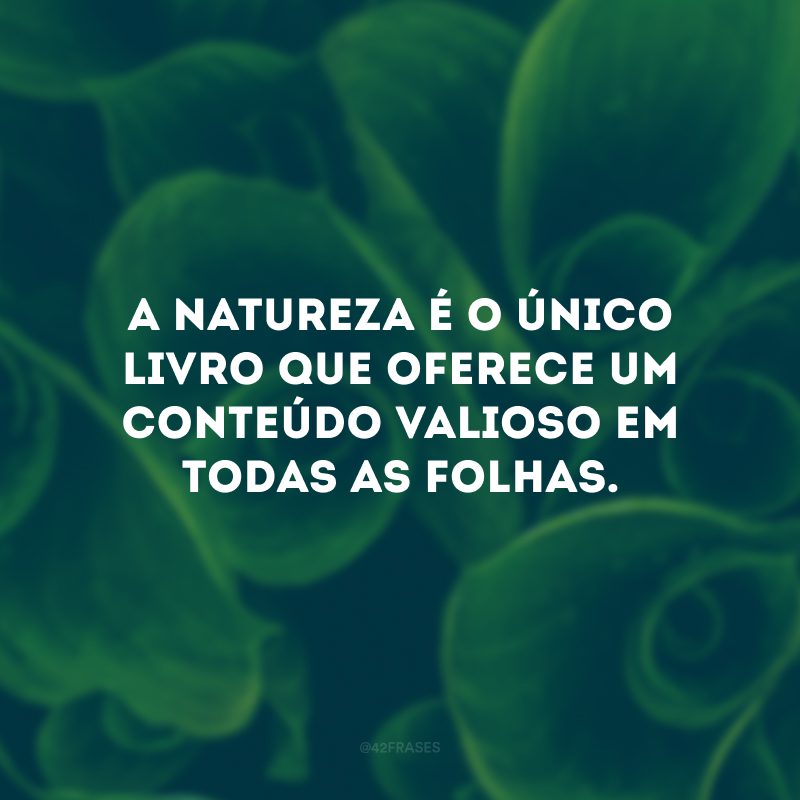 A natureza é o único livro que oferece um conteúdo valioso em todas as folhas. 