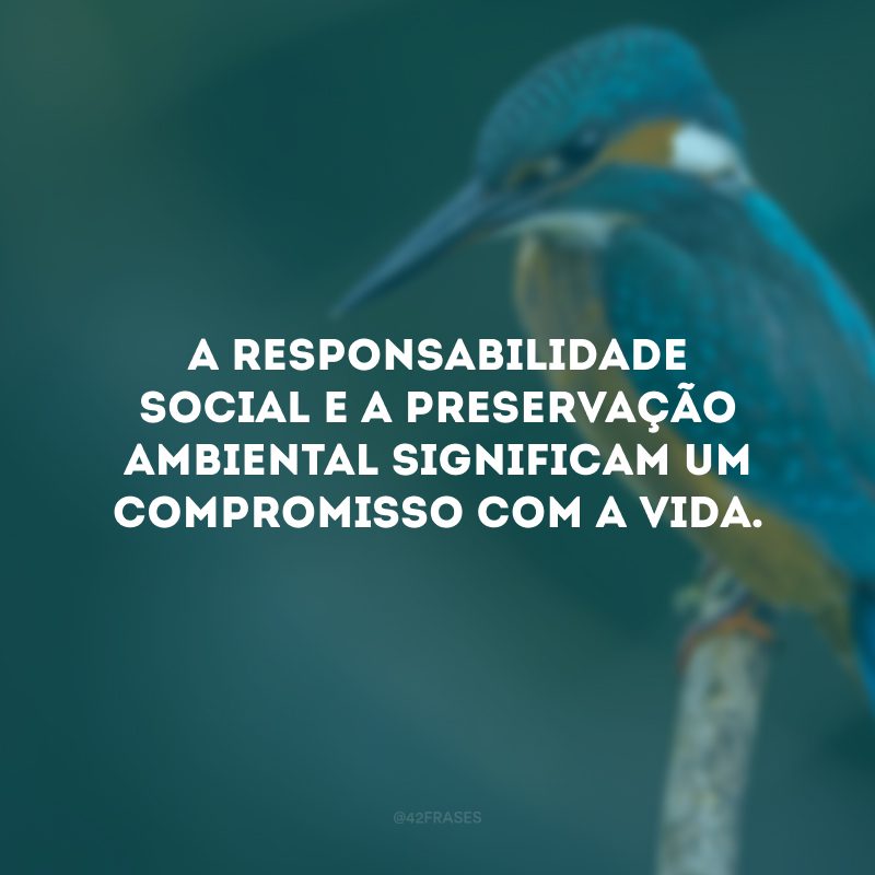 A responsabilidade social e a preservação ambiental significam um compromisso com a vida. 