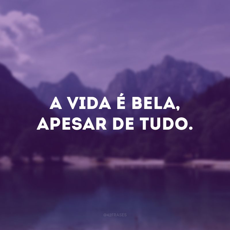 A vida é bela, apesar de tudo.