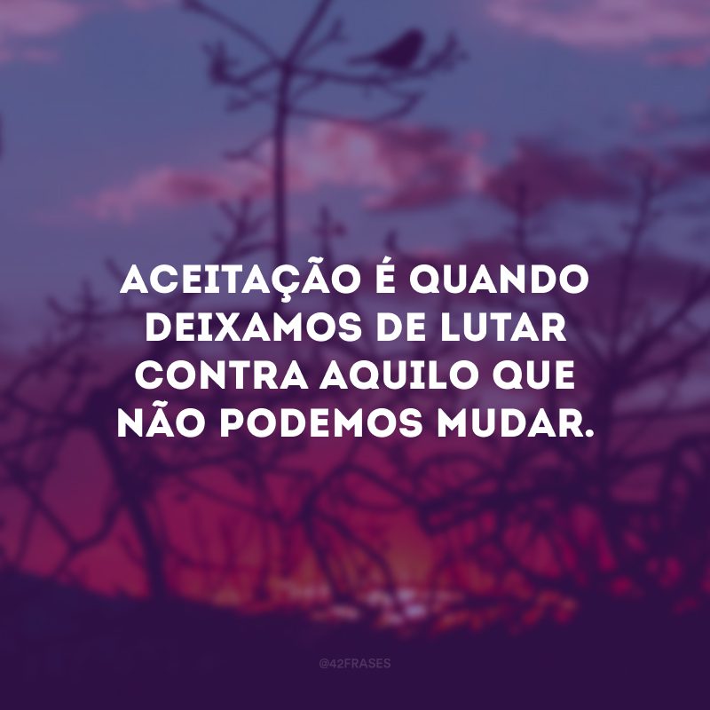 Aceitação é quando deixamos de lutar contra aquilo que não podemos mudar. 