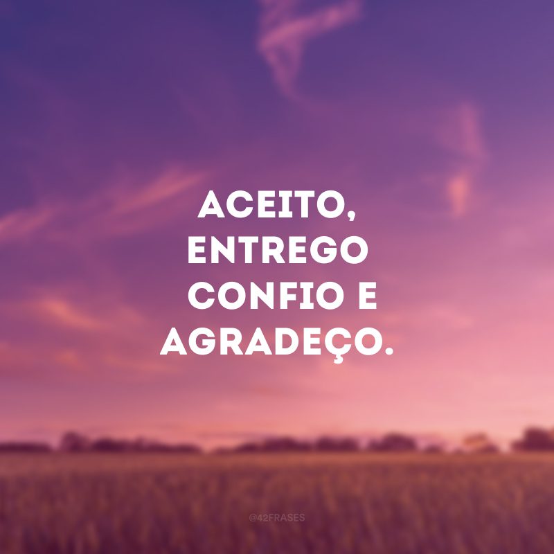 Aceito, entrego, confio e agradeço.