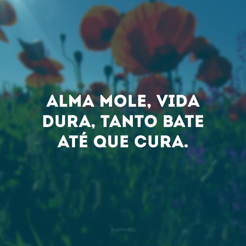 Alma mole, vida dura, tanto bate até que cura. 