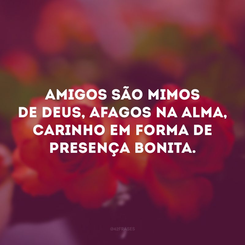 Amigos são mimos de Deus, afagos na alma, carinho em forma de presença bonita. 