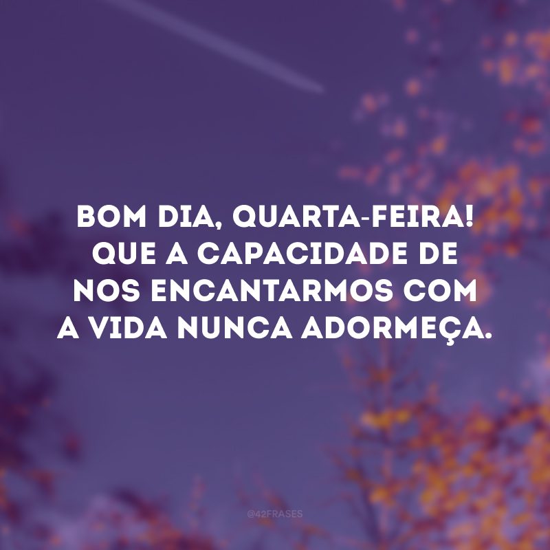 Bom dia, quarta-feira! Que a capacidade de nos encantarmos com a vida nunca adormeça. 