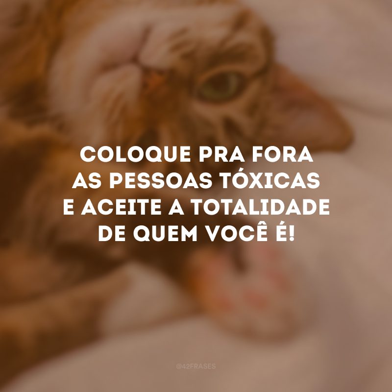 Coloque pra fora as pessoas tóxicas e aceite a totalidade de quem você é!