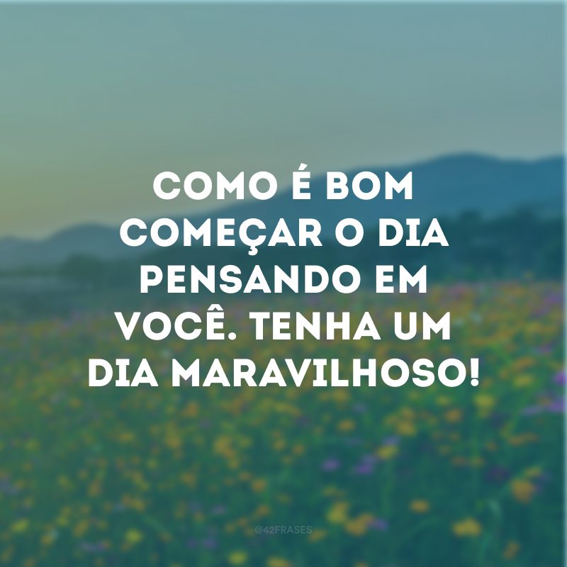 Como é bom começar o dia pensando em você. Tenha um dia maravilhoso!