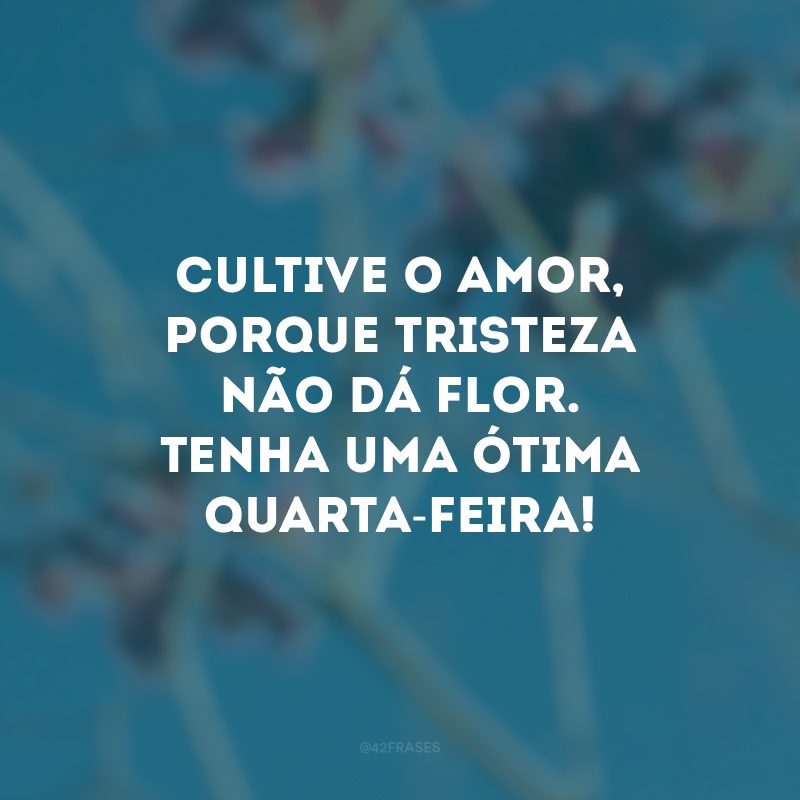 Cultive o amor, porque tristeza não dá flor. Tenha uma ótima quarta-feira! 