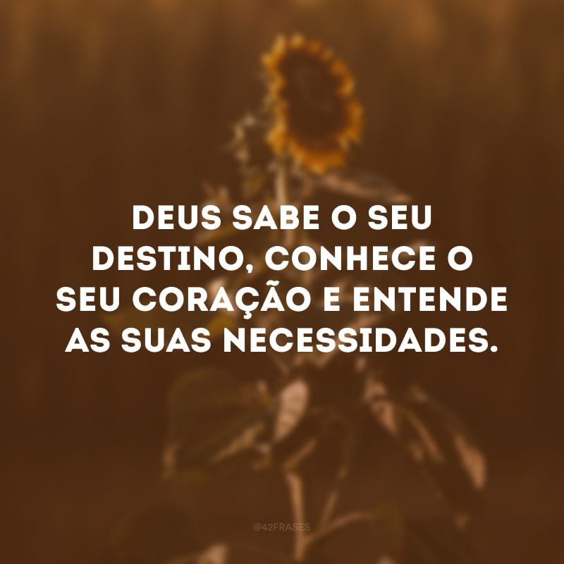 Deus sabe o seu destino, conhece o seu coração e entende as suas necessidades.