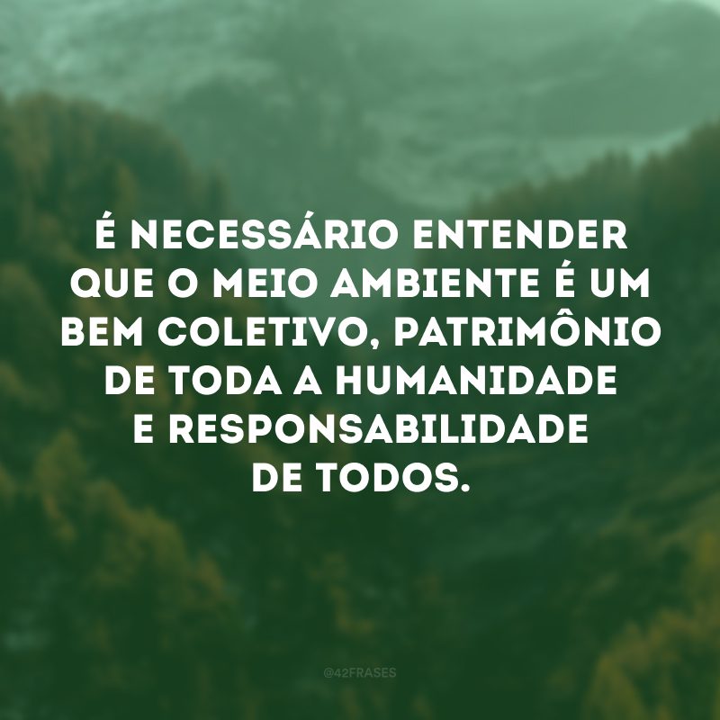 É necessário entender que o meio ambiente é um bem coletivo, patrimônio de toda a humanidade e responsabilidade de todos. 