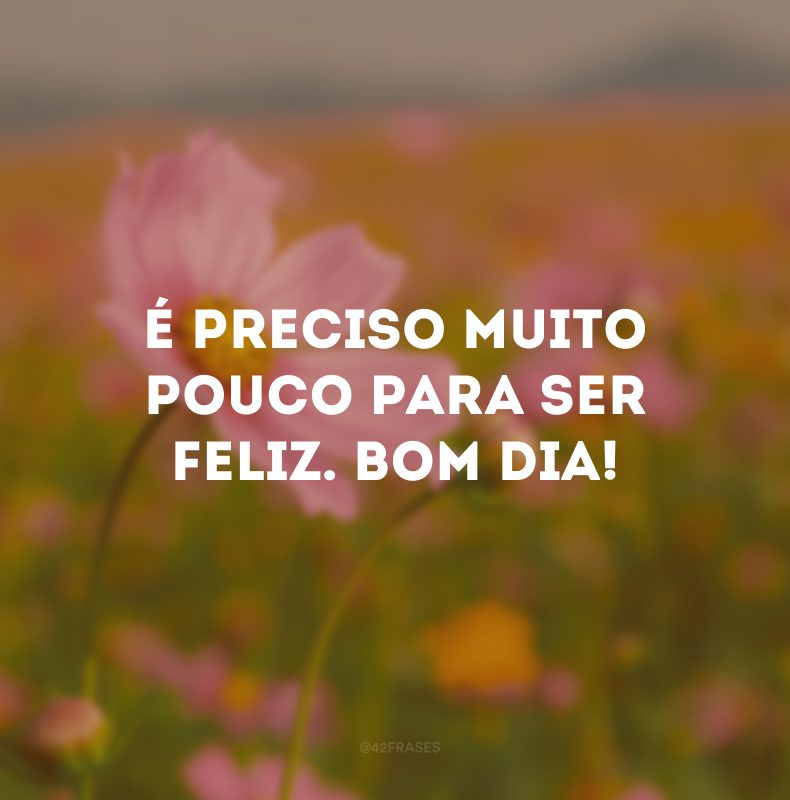 É preciso muito pouco para ser feliz. Bom dia!