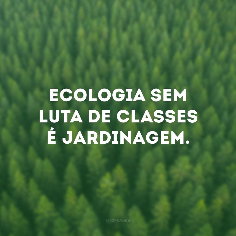 Ecologia sem luta de classes é jardinagem.