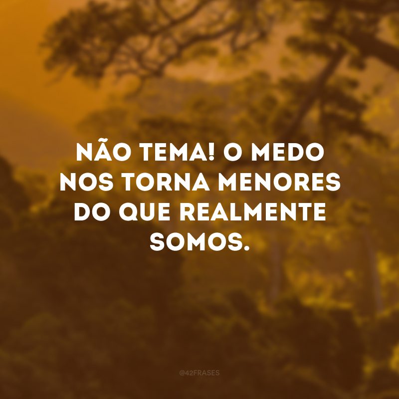 Não tema! O medo nos torna menores do que realmente somos.