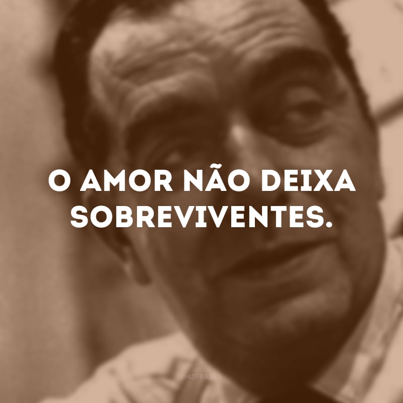 O amor não deixa sobreviventes.