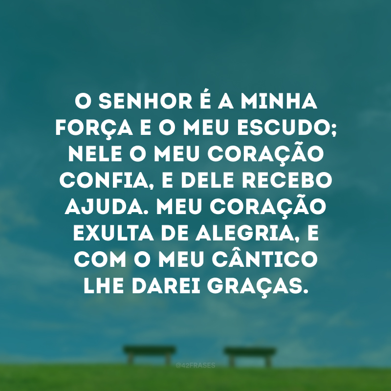 O Senhor é a minha força e o meu escudo; nele o meu coração confia, e dele recebo ajuda. Meu coração exulta de alegria, e com o meu cântico lhe darei graças.