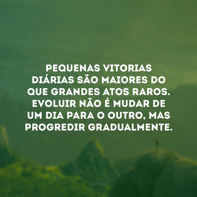 Pequenas vitorias diárias são maiores do que grandes atos raros. Evoluir não é mudar de um dia para o outro, mas progredir gradualmente.