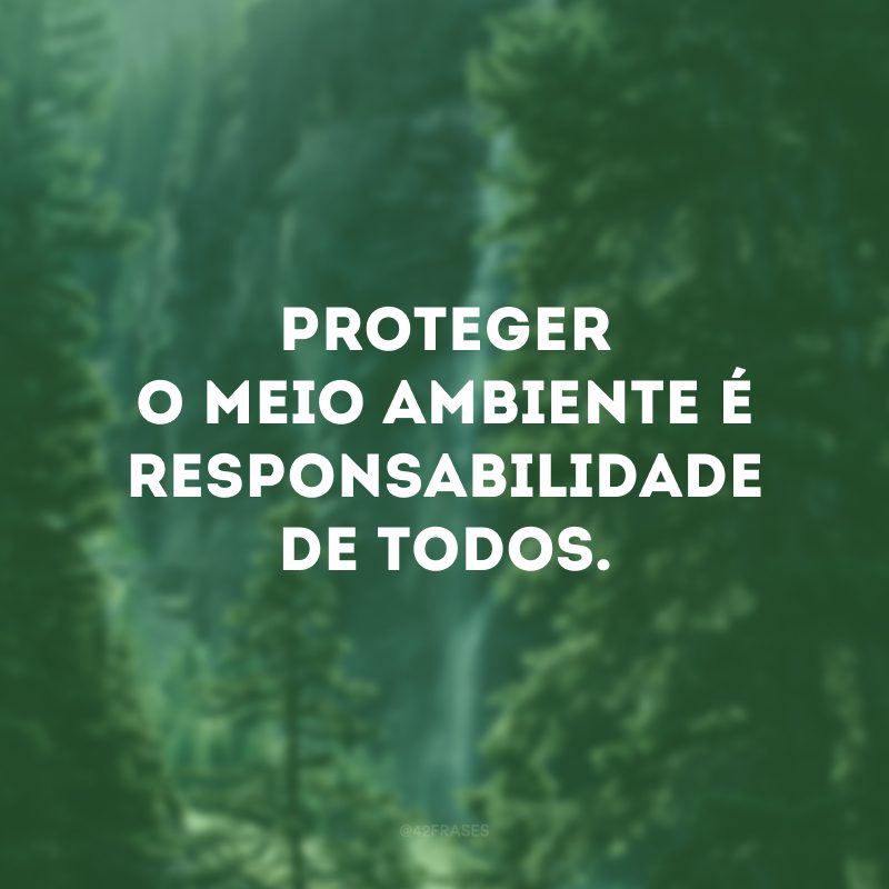 Proteger o meio ambiente é responsabilidade de todos.