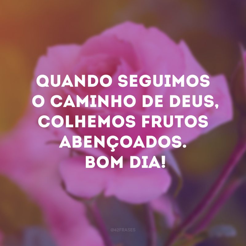 Quando seguimos o caminho de Deus, colhemos frutos abençoados. Bom dia!