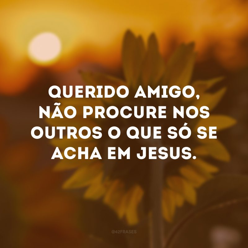 Querido amigo, não procure nos outros o que só se acha em Jesus.