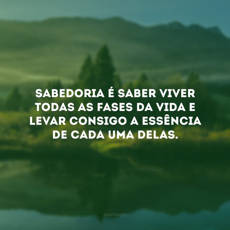 Sabedoria é saber viver todas as fases da vida e levar consigo a essência de cada uma delas.