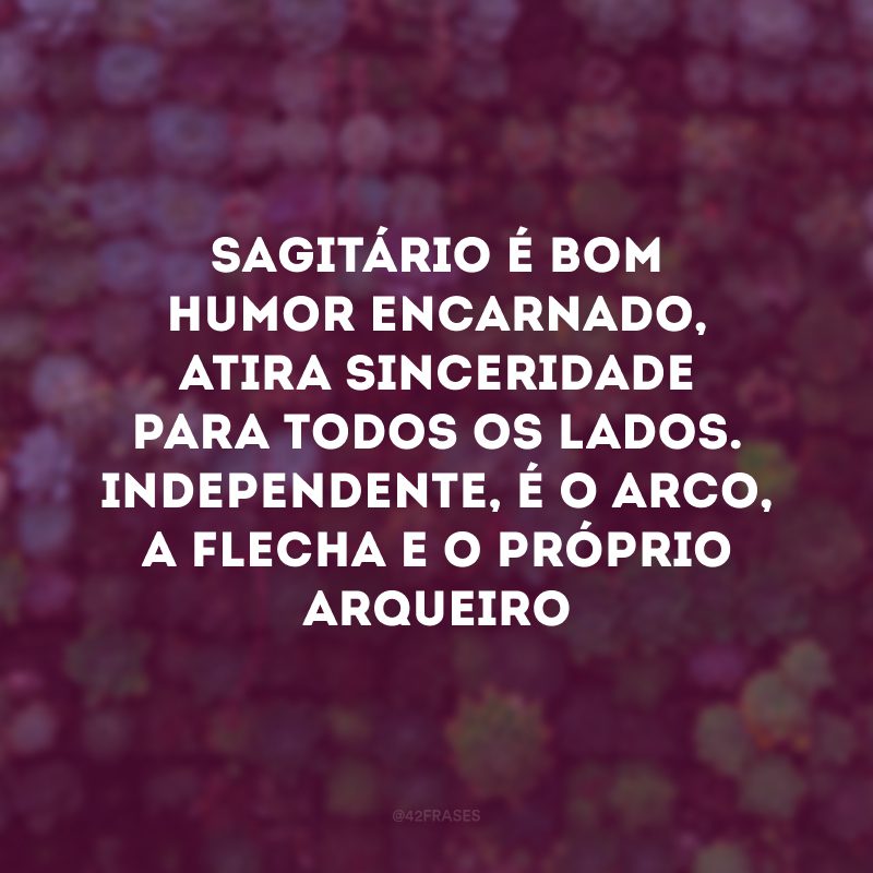 Sagitário é bom humor encarnado, atira sinceridade para todos os lados. Independente, é o arco, a flecha e o próprio arqueiro 