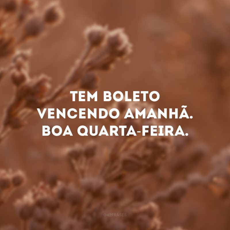 Tem boleto vencendo amanhã. Boa quarta-feira. 