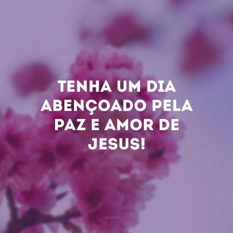 Tenha um dia abençoado pela paz e amor de Jesus!