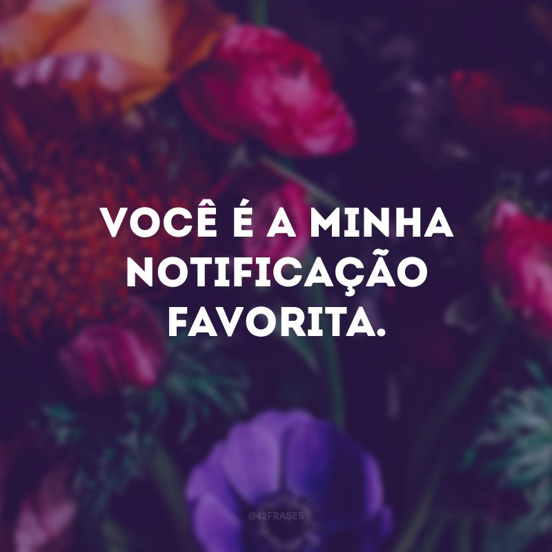 Você é a minha notificação favorita. 