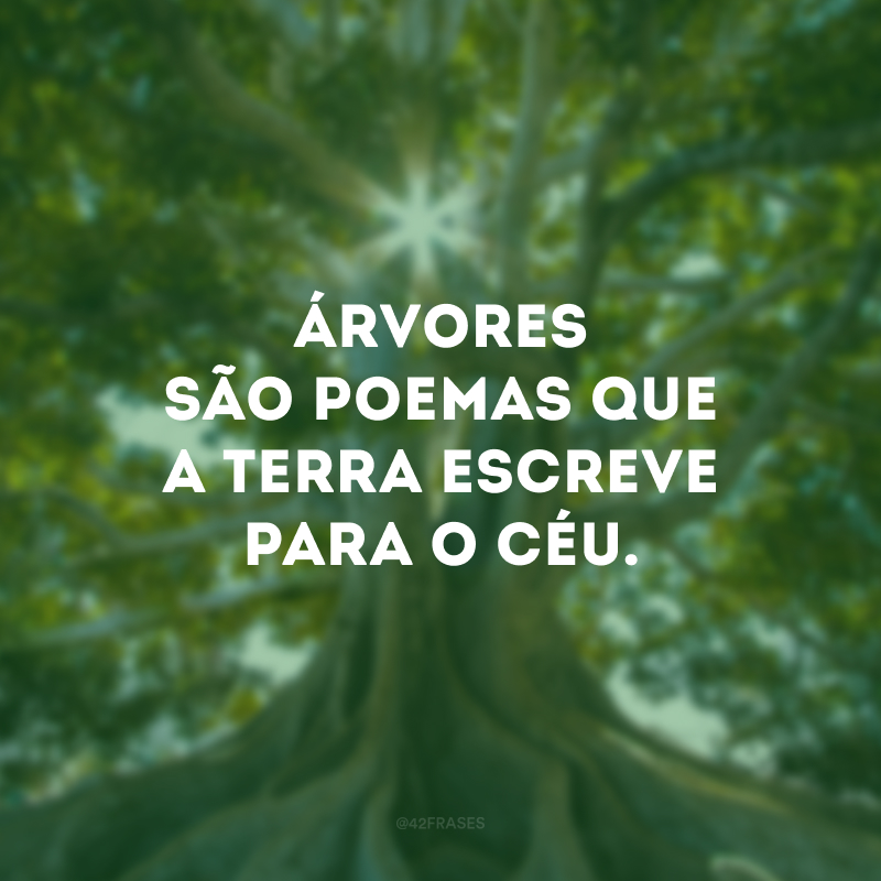 Árvores são poemas que a terra escreve para o céu.