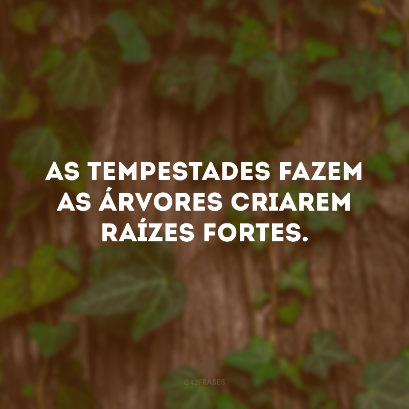 As tempestades fazem as árvores criarem raízes fortes.