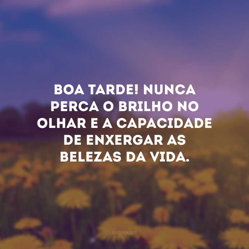 Boa tarde! Nunca perca o brilho no olhar e a capacidade de enxergar as belezas da vida.