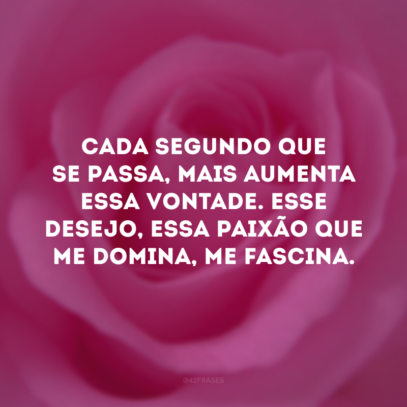 Cada segundo que se passa, mais aumenta essa vontade. Esse desejo, essa paixão que me domina, me fascina.