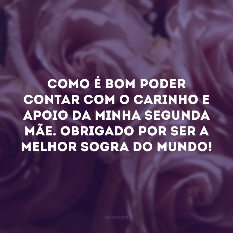 Como é bom poder contar com o carinho e apoio da minha segunda mãe. Obrigado por ser a melhor sogra do mundo! 