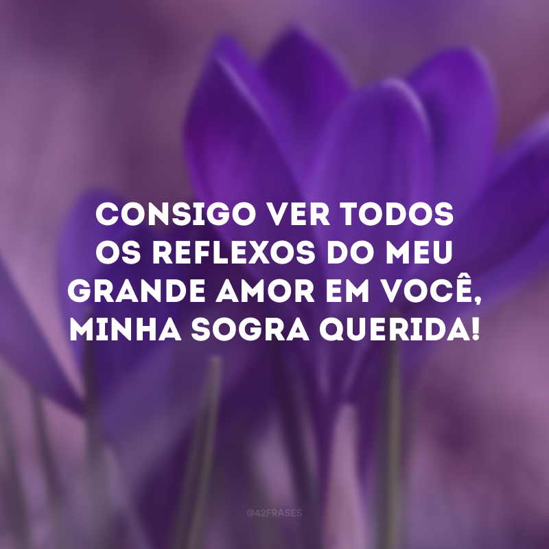 Consigo ver todos os reflexos do meu grande amor em você, minha sogra querida!