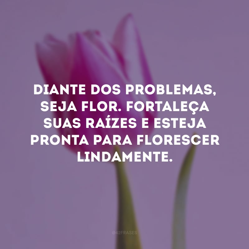 Diante dos problemas, seja flor. Fortaleça suas raízes e esteja pronta para florescer lindamente. 