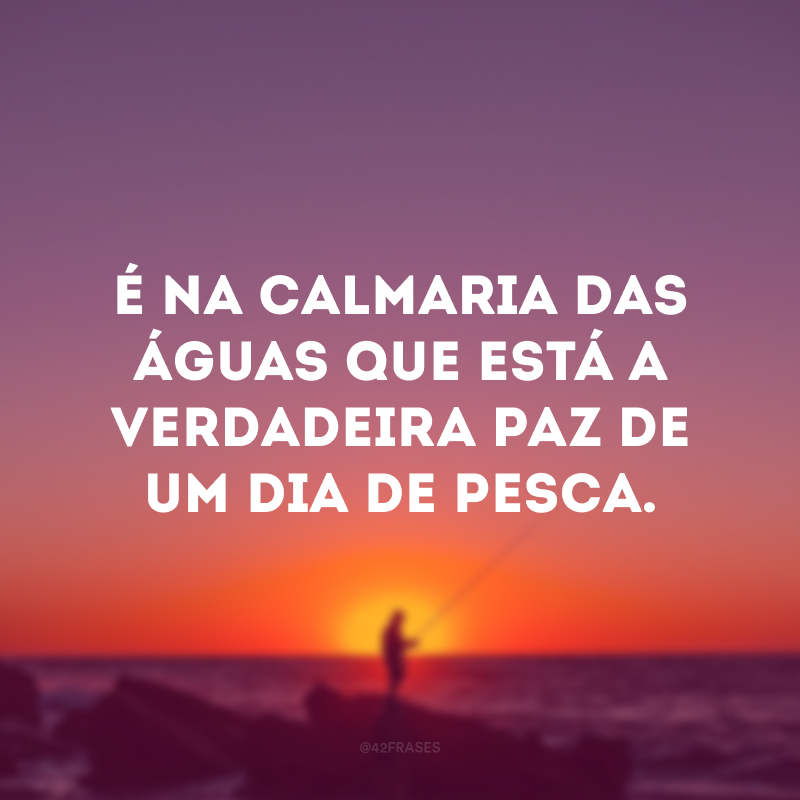 É na calmaria das águas que está a verdadeira paz de um dia de pesca. 