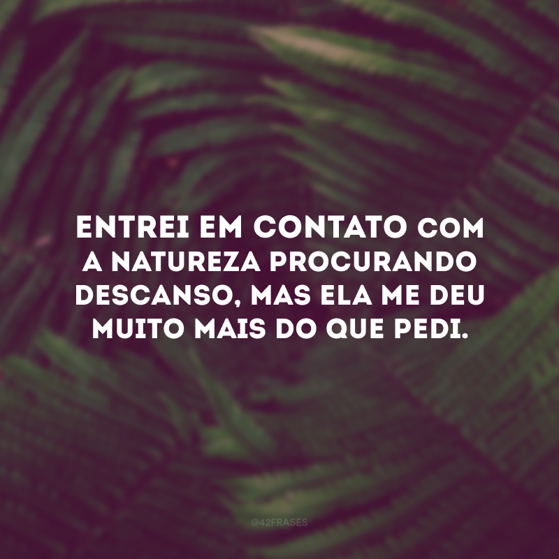 Entrei em contato com a natureza procurando descanso, mas ela me deu muito mais do que pedi.