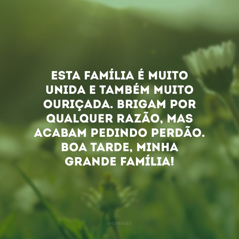 Esta família é muito unida e também muito ouriçada. Brigam por qualquer razão, mas acabam pedindo perdão. Boa tarde, minha grande família!