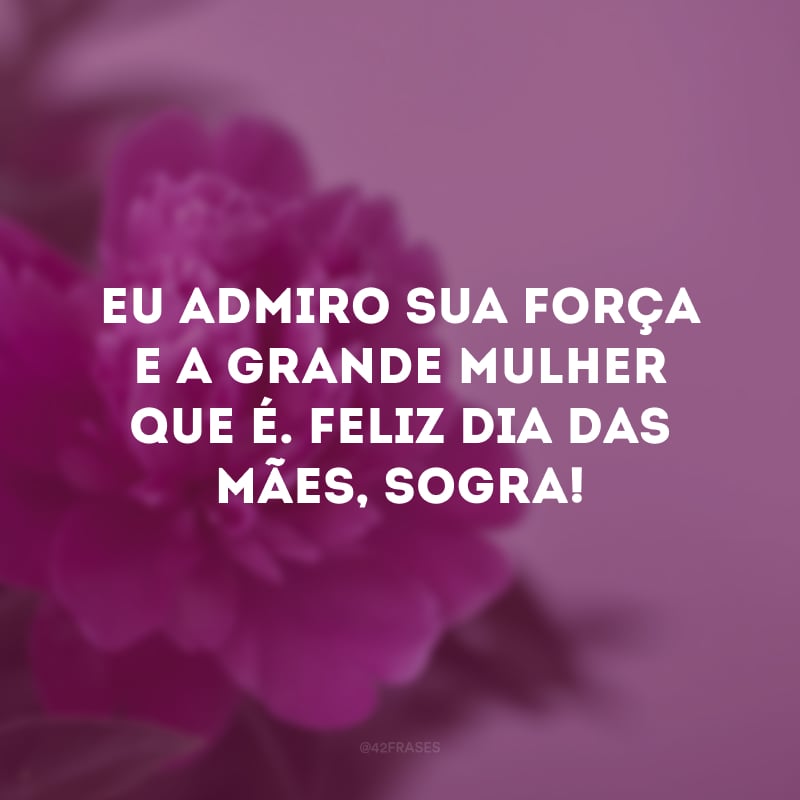 Eu admiro sua força e a grande mulher que é. Feliz Dia das Mães, sogra! 