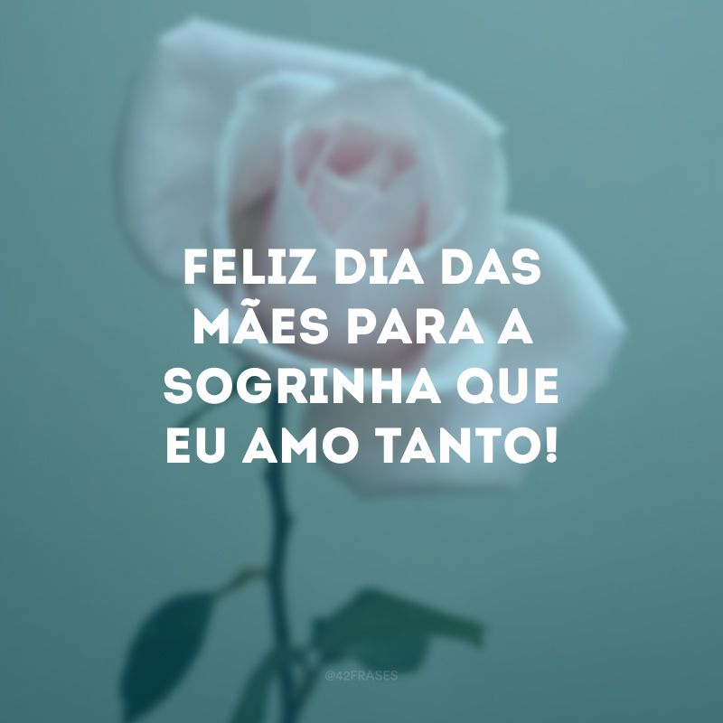 Feliz Dia das Mães para a sogrinha que eu amo tanto!