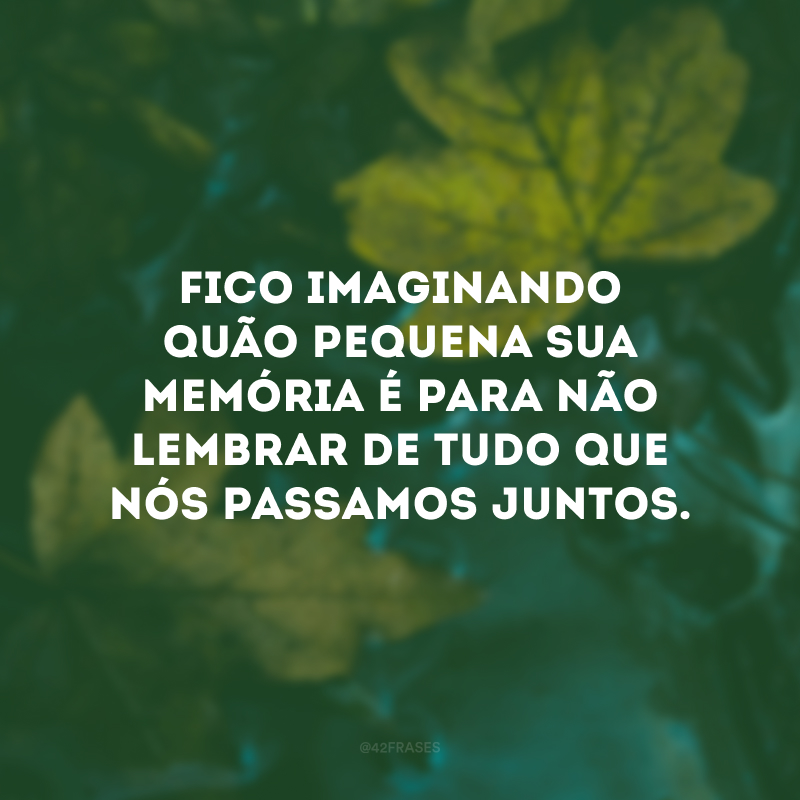 Fico imaginando quão pequena sua memória é para não lembrar de tudo que nós passamos juntos.