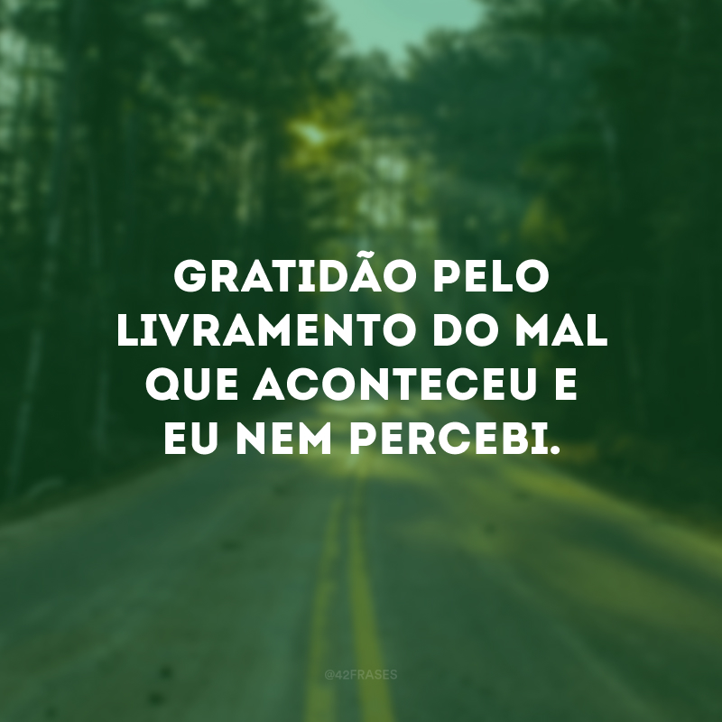 Gratidão pelo livramento do mal que aconteceu e eu nem percebi.