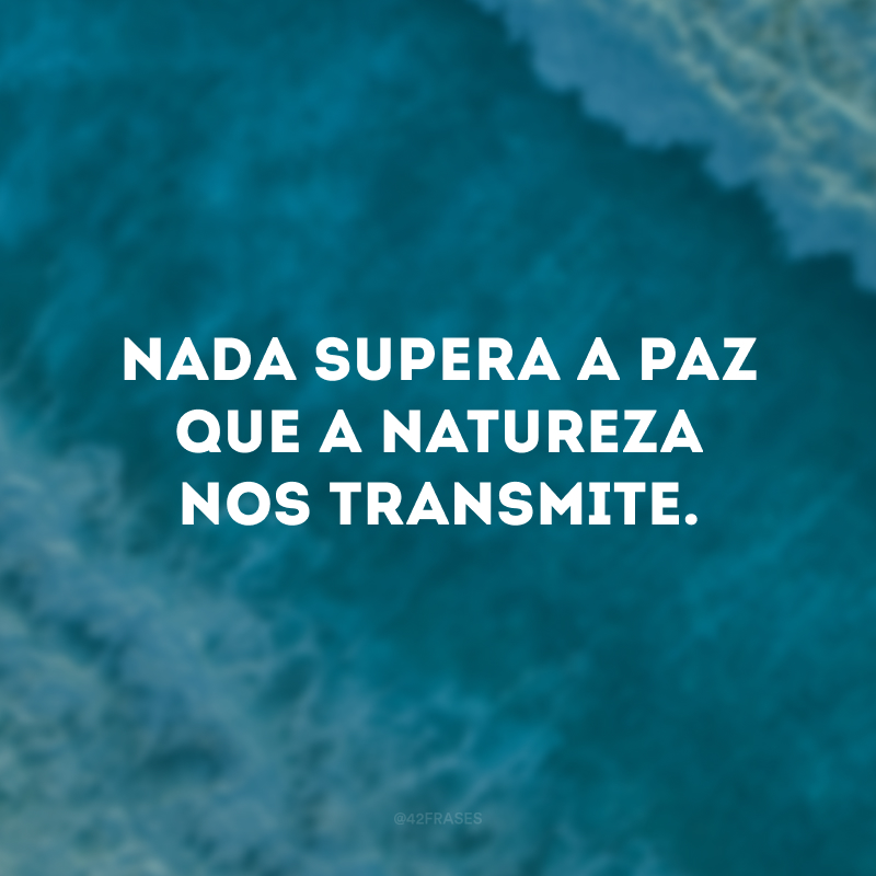 Nada supera a paz que a natureza nos transmite.