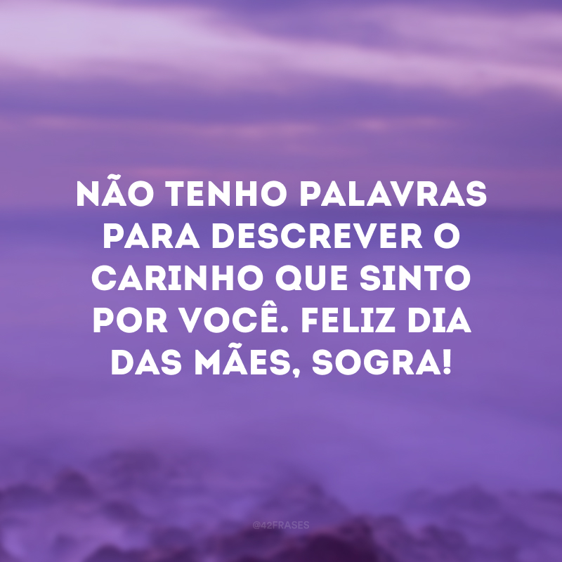 Não tenho palavras para descrever o carinho que sinto por você. Feliz Dia das Mães, sogra!