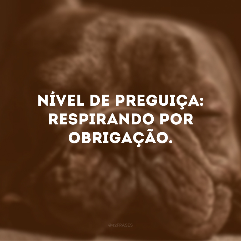 Nível de preguiça: respirando por obrigação. 