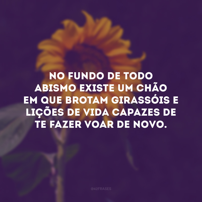 No fundo de todo abismo existe um chão em que brotam girassóis e lições de vida capazes de te fazer voar de novo.