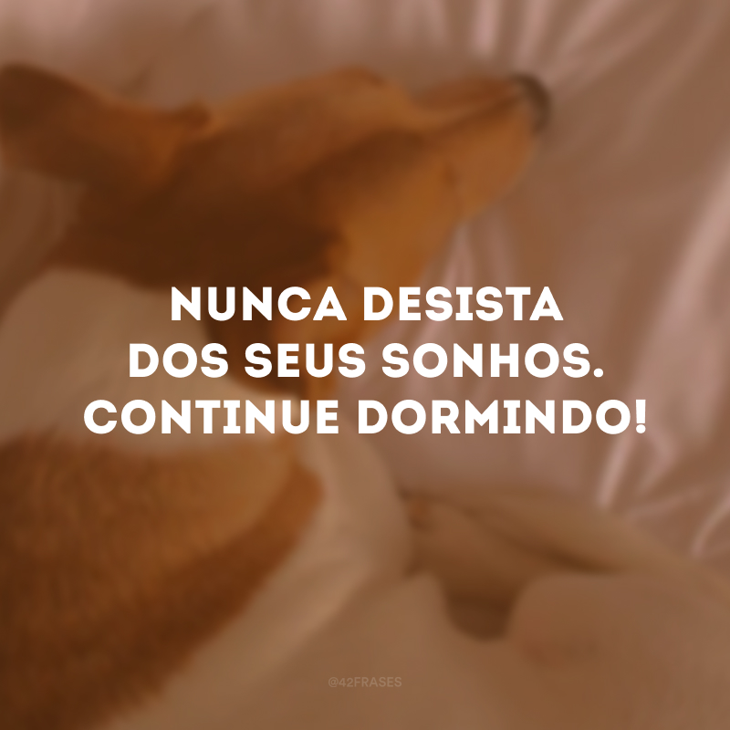 Nunca desista dos seus sonhos. Continue dormindo!