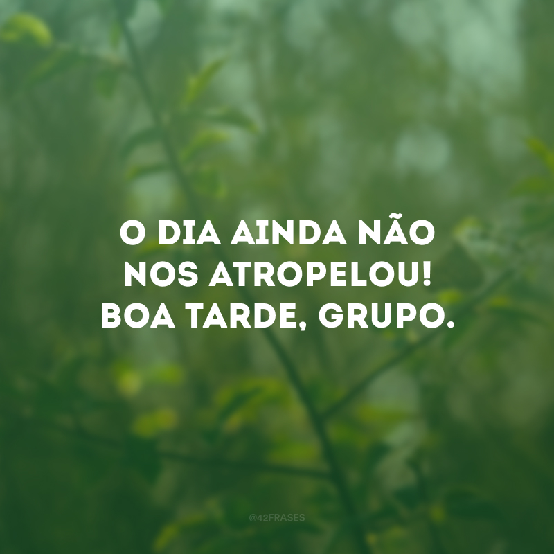 O dia ainda não nos atropelou! Boa tarde, grupo. 