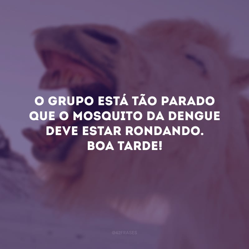 O grupo está tão parado que o mosquito da dengue deve estar rondando. Boa tarde! 