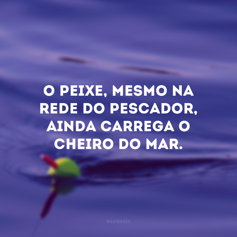 O peixe, mesmo na rede do pescador, ainda carrega o cheiro do mar. 