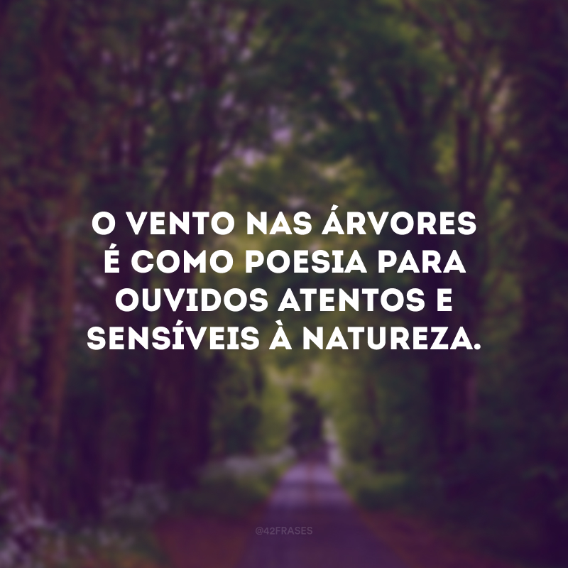 O vento nas árvores é como poesia para ouvidos atentos e sensíveis à natureza.